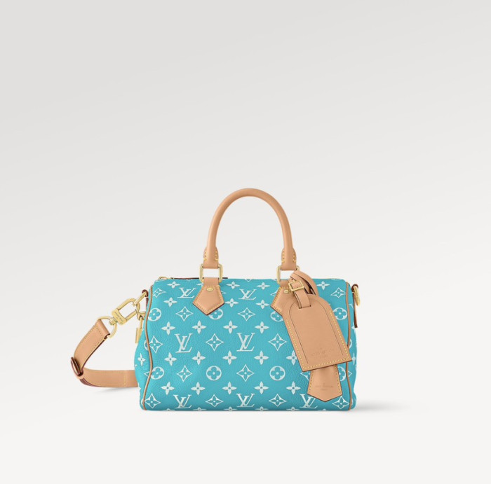 1V BAG B0113-229