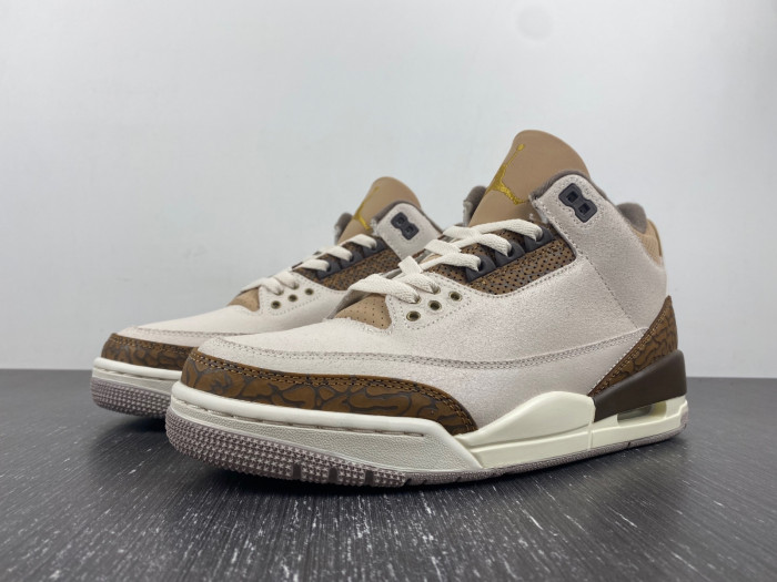 air jordan 3 palomino ct8532-102