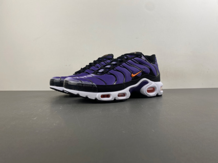 Nike Air Max Plus OG 'Voltage Purple' DX0755-500