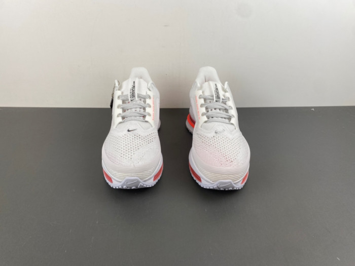 Nike Pegasus PreM1vm Summit 