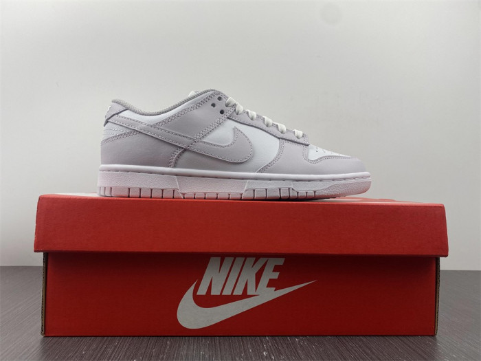 nike dunk low venice (w) - dd1503-116