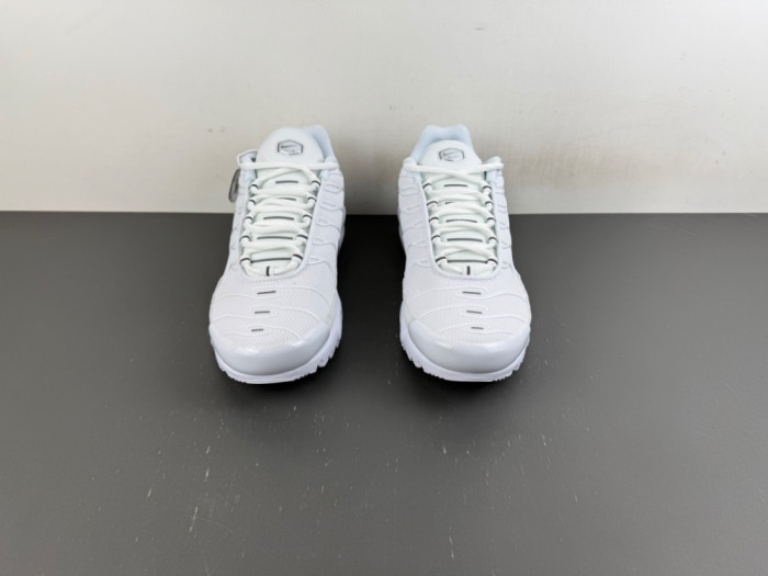 Nike Wmns Air Max Plus 