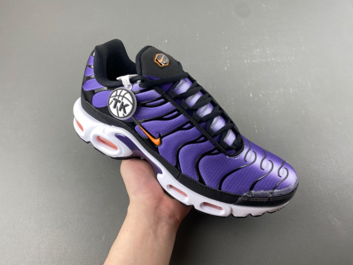 Nike Air Max Plus OG 