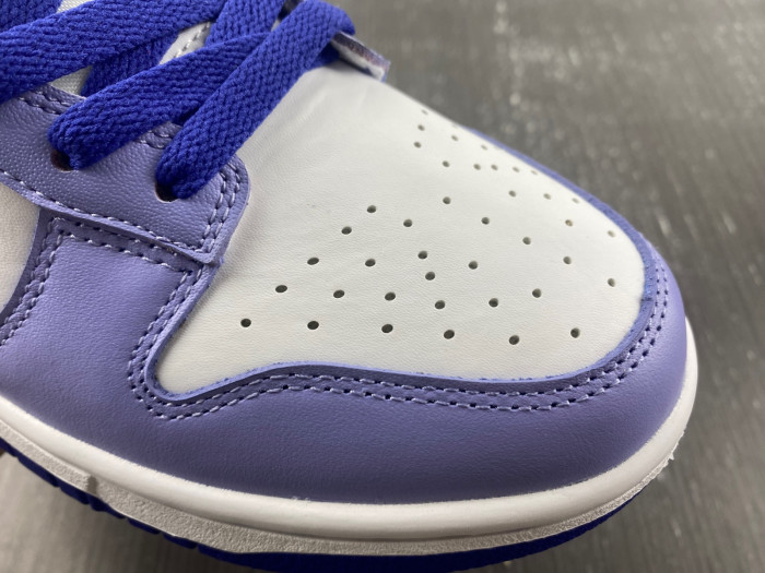nike dunk low blueberry (gs) - dz4456-100