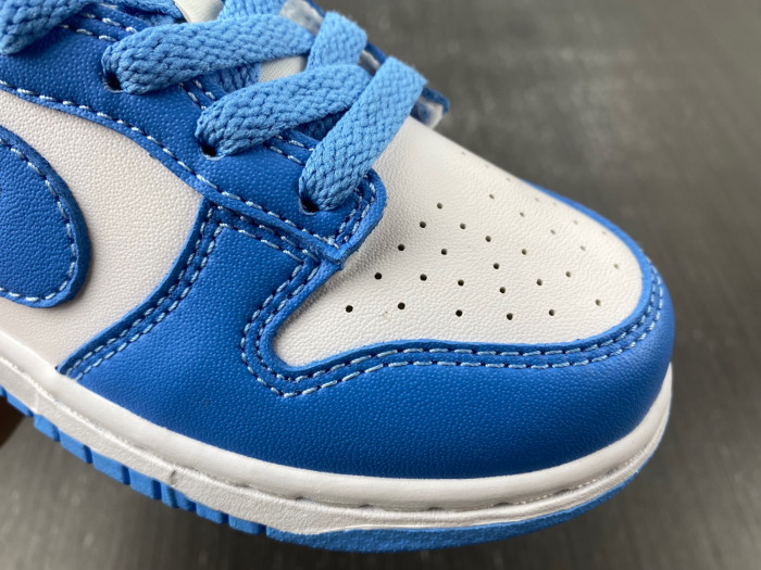 kids nike dunk low 