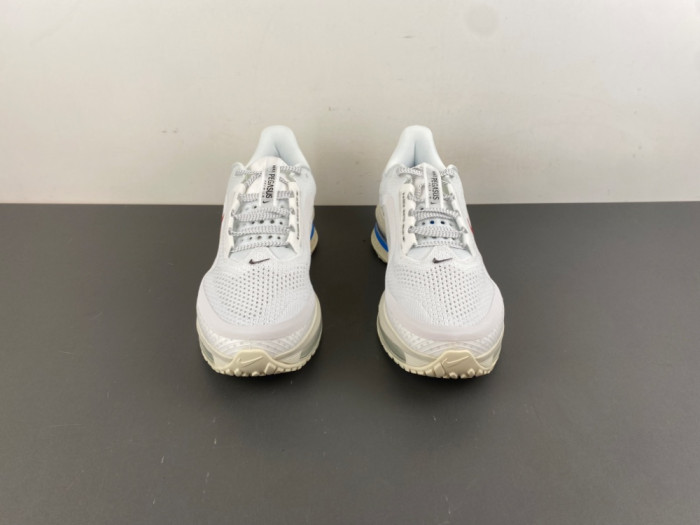 Nike Air Zoom Pegasus PreM1vm 