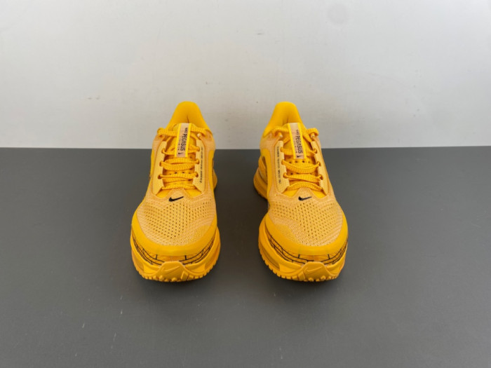 Nike Air Zoom Pegasus PreM1vm 