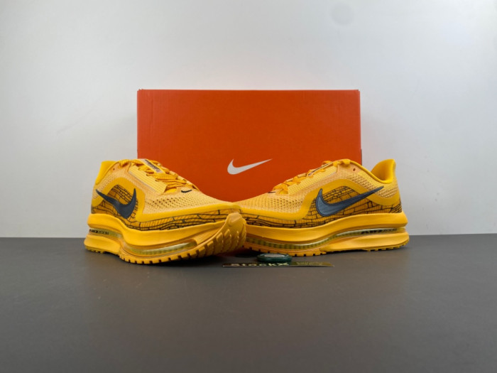 Nike Air Zoom Pegasus PreM1vm 