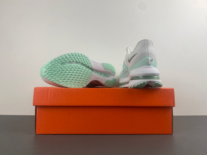 Nike Air Zoom Pegasus PreM1vm White Mint Foam HQ2593-103