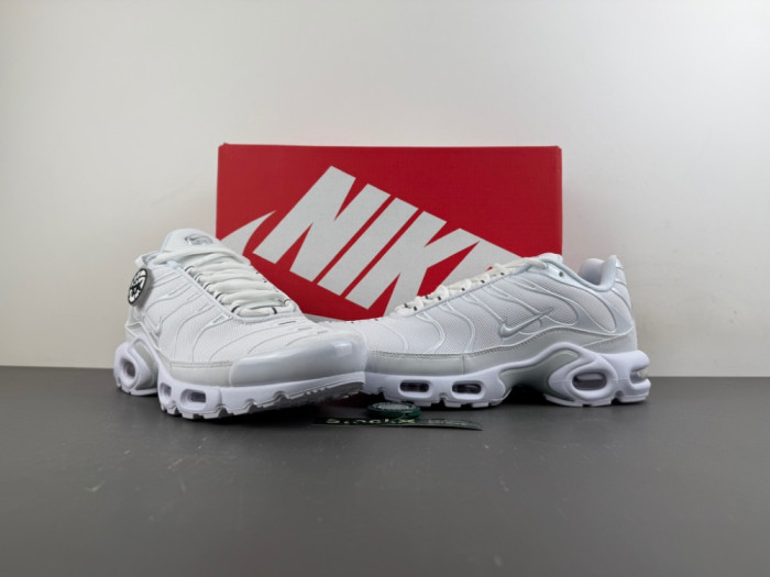 Nike Wmns Air Max Plus 