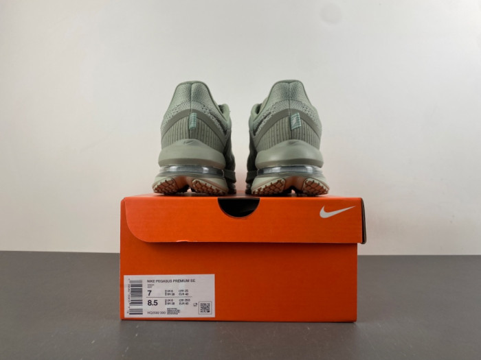 Nike Air Zoom Pegasus PreM1vm Jade Horizon HQ2592-300