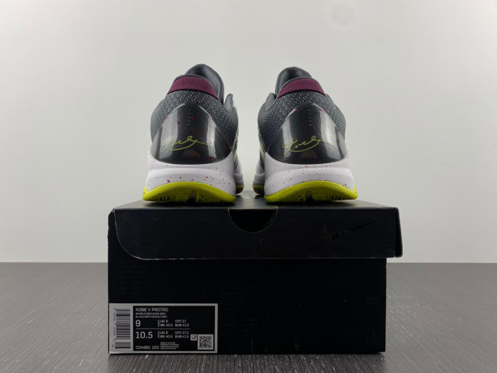 zoom kobe 5 protro 