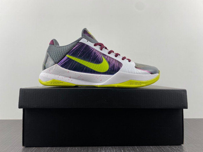 zoom kobe 5 protro 