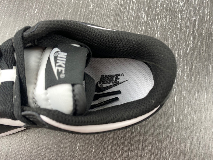 kids nike dunk low 