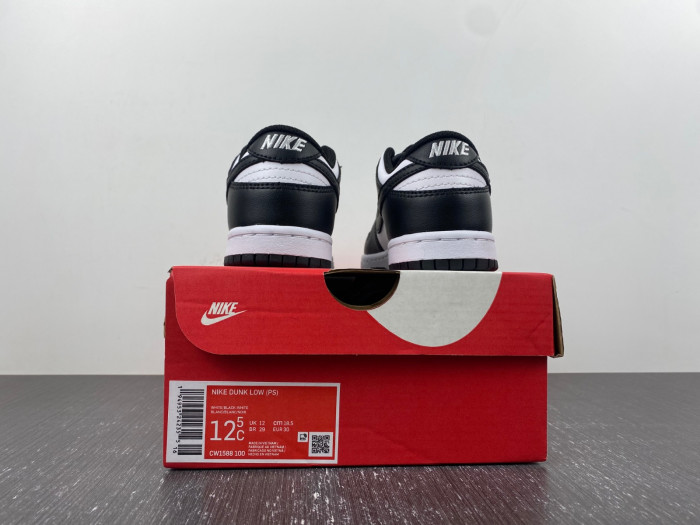 kids nike dunk low 