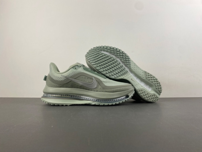 Nike Air Zoom Pegasus PreM1vm Jade Horizon HQ2592-300