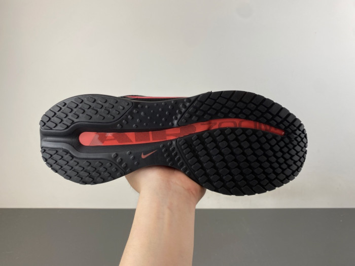 Nike Pegasus PreM1vm 