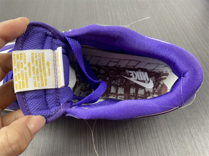 nike dunk low flip the old school dj4636-100