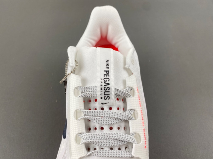 Nike Pegasus PreM1vm Summit 