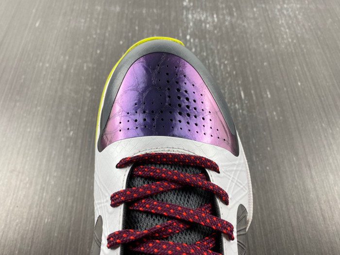 zoom kobe 5 protro 