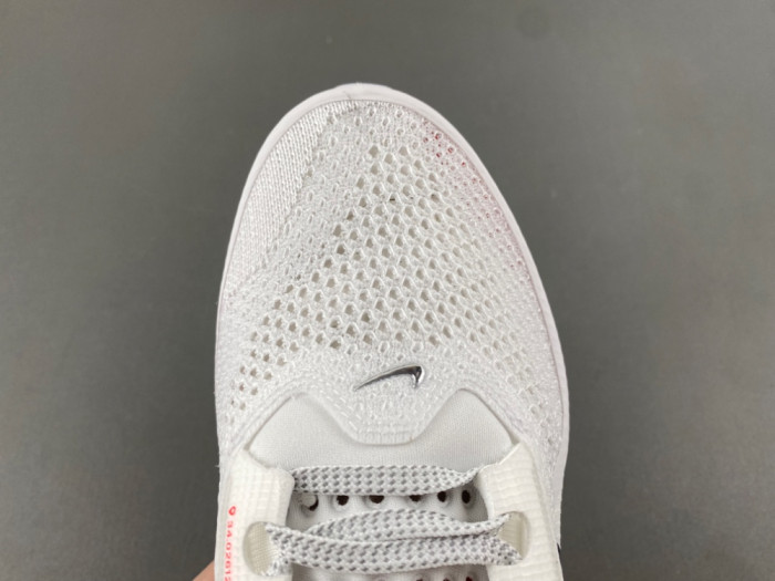 Nike Pegasus PreM1vm Summit 