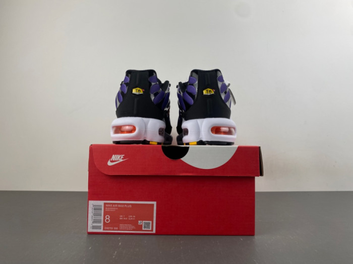 Nike Air Max Plus OG 