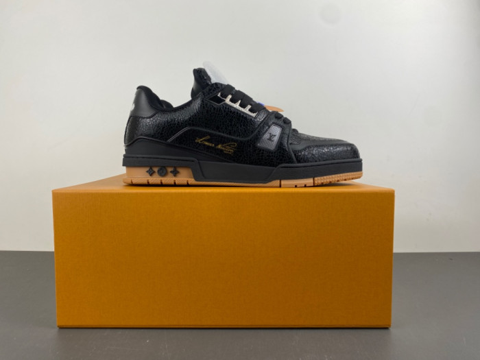1V TRAINER 1VTR041