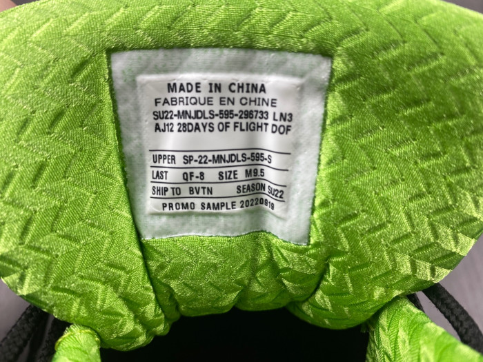 Air Jordan 12 Black Neon Green AJ12-052