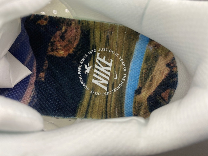 Nike Air Zoom Pegasus PreM1vm 