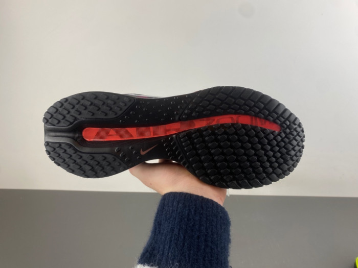 Nike Air Zoom Pegasus PreM1vm 
