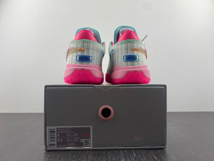 nike lebron 20 ep time machine dj5422-300