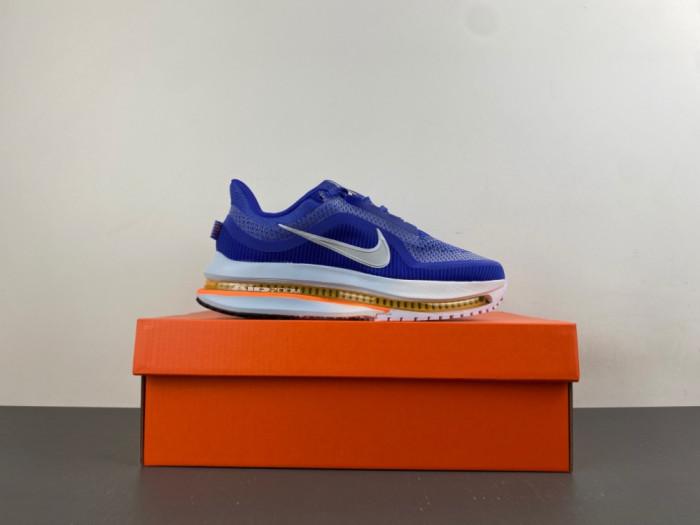 Nike Pegasus PreM1vm 