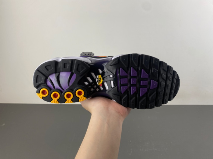 Nike Air Max Plus OG 