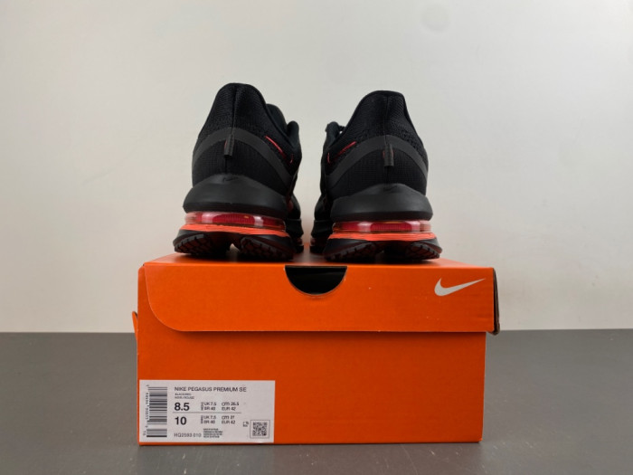 Nike Pegasus PreM1vm 