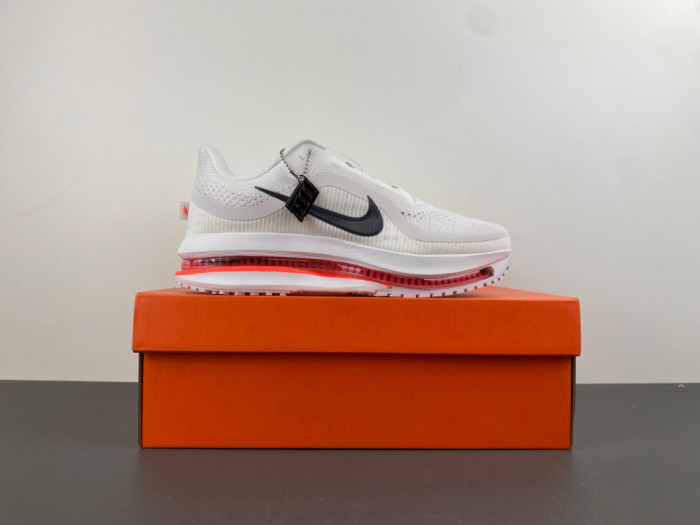 Nike Pegasus PreM1vm Summit 
