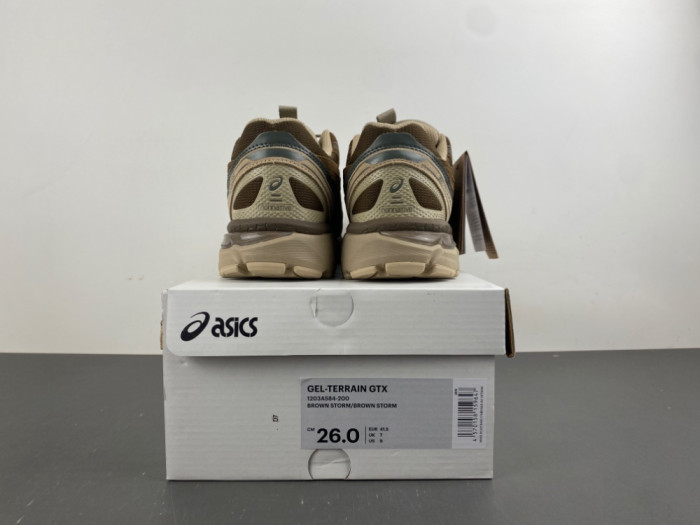 nonnative x As1cs Gel Terrain GORE TEX Brown 1203A584-200