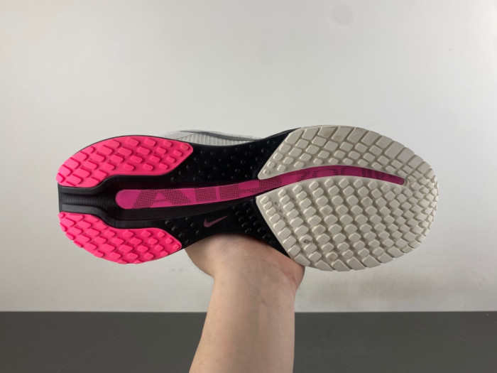 Nike Air Zoom Pegasus PreM1vm 