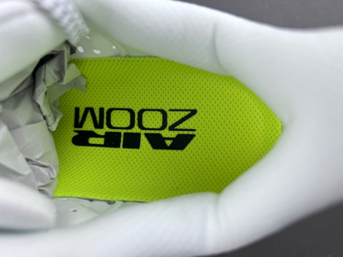 Air Zoom Pegasus PreM1vm 