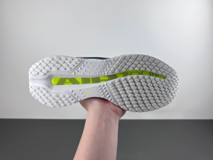 Air Zoom Pegasus PreM1vm 