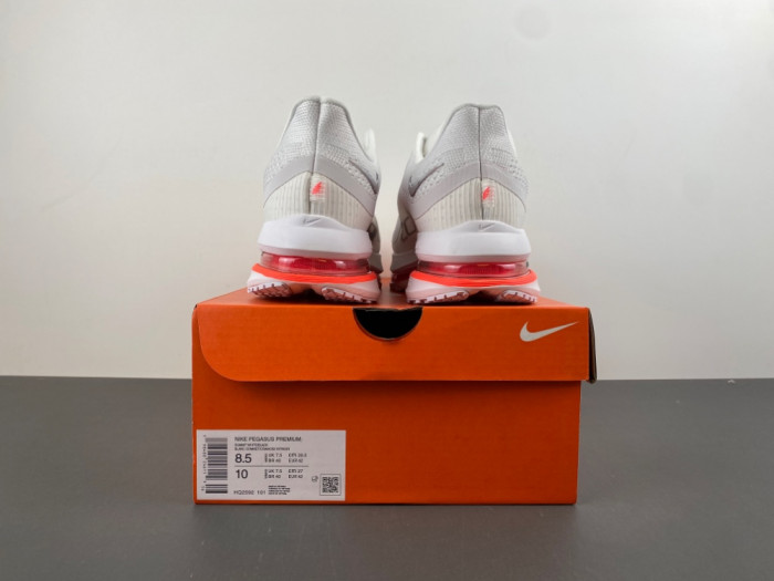 Nike Pegasus PreM1vm Summit 