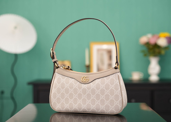 C0a*h BAG B0113-241