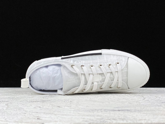 d10r b23 homme kaws low top sneaker
