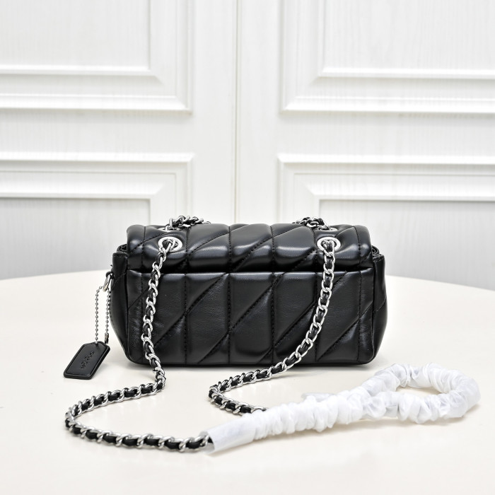 C0a*h BAG B0113-235