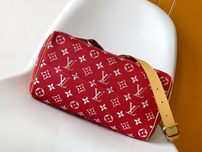 1V BAG B0113-228