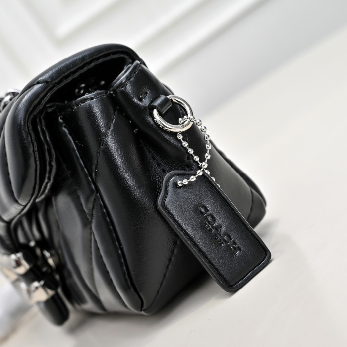 C0a*h BAG B0113-235