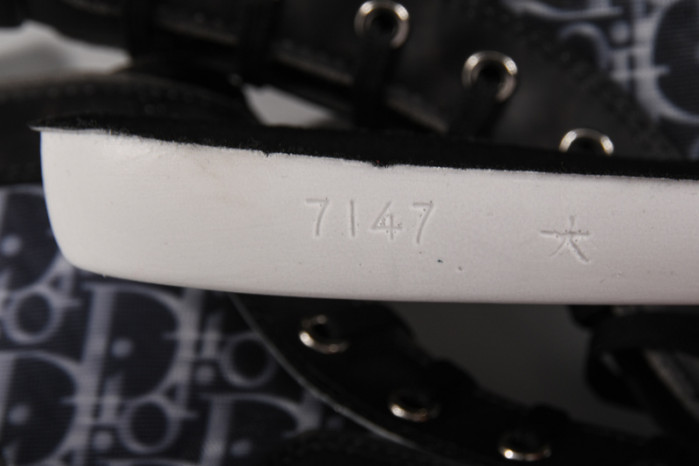 d10r b23 homme kaws high top sneaker