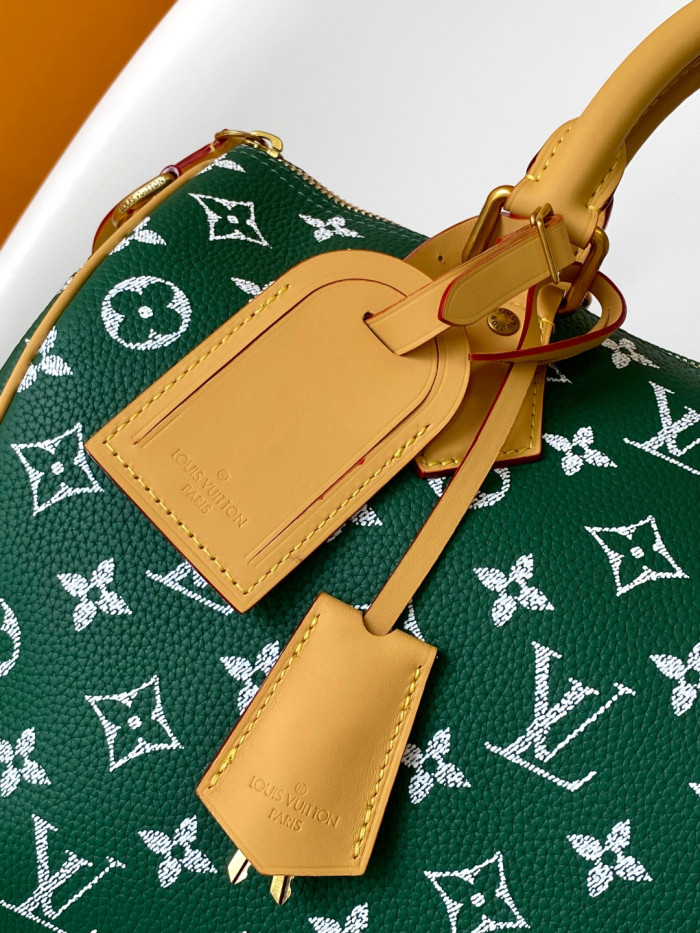 1V BAG B0113-227