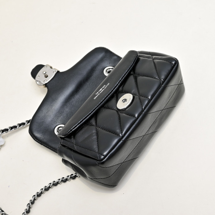 C0a*h BAG B0113-235