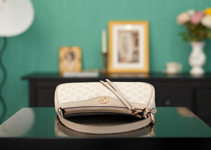 C0a*h BAG B0113-241