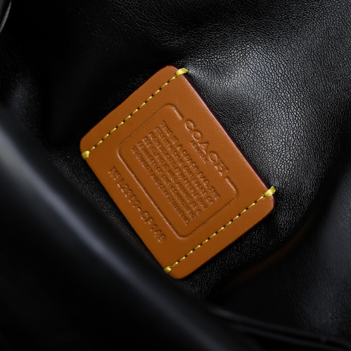 C0a*h BAG B0113-235